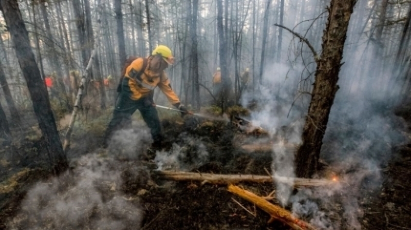 Ситуация с лесными пожарами в Сибири стабилизировалась, но остается сложной