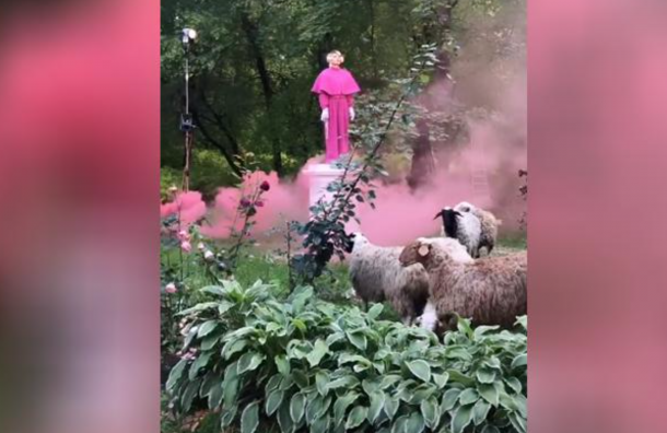 Жена Семака удалила фотосессию с овцами со связанными ногами