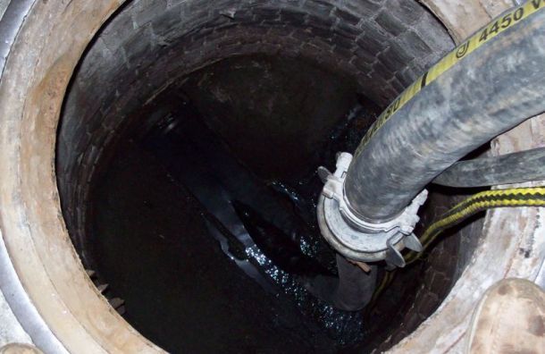 Эксперты проверят, сливали ли ядовитое вещество в канализацию Купчино