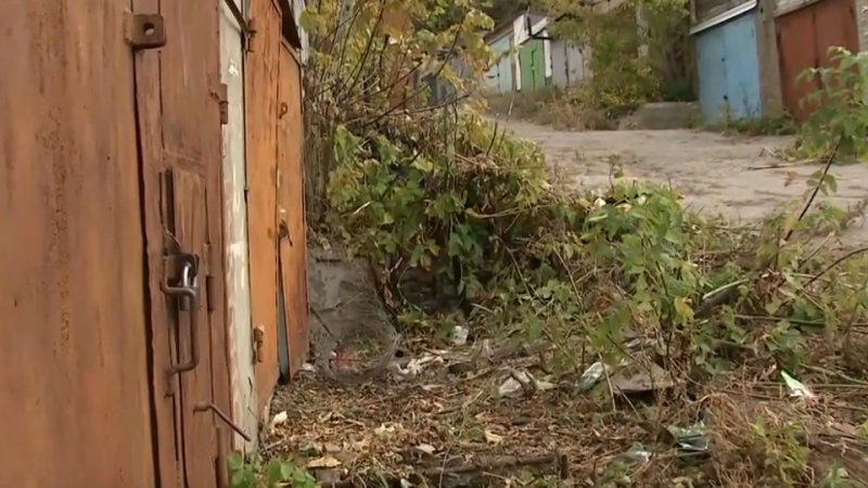 Власти Саратова опровергли массовый снос заброшенных зданий после убийства девочки